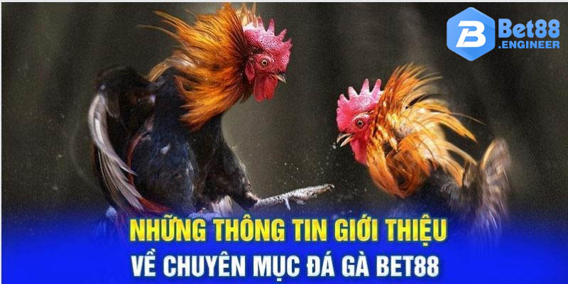 Dịch Vụ Chăm Sóc Khách Hàng Tận Tâm